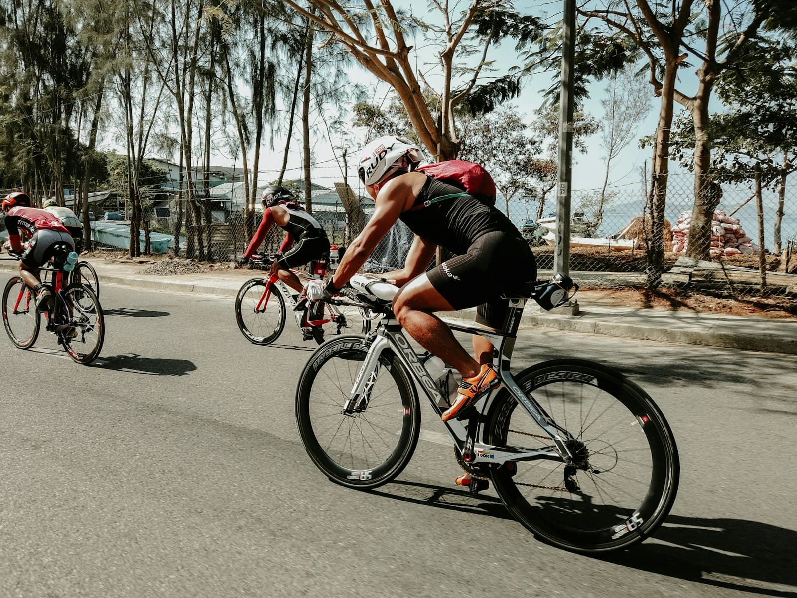 Three triathletes riding their bikes together along a tree-lined coastal road during a training session.